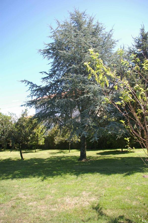 ビラノーバ・デ・アロウサ Vivienda Tradicional Con Jardin Y Patio Interiorヴィラ エクステリア 写真